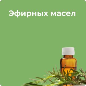 Интернет-магазин